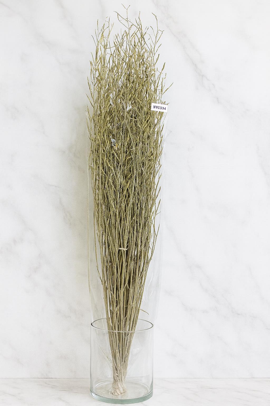 Dried Mustard Grass Bouquet | Sage Green Rustic Floral Stems for vases, centerpieces, and home styling