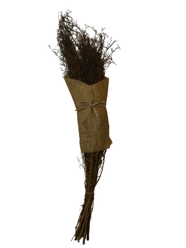 Alpha Grass | Wholesale Everflorals | Natural NY1001