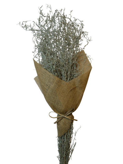 Alpha Grass | Wholesale Everflorals | Sage Green NY1001