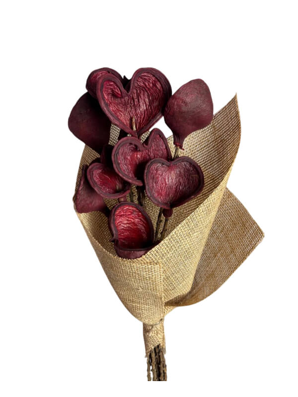 Badam Nut | Wholesale Everflorals | Red NY1004