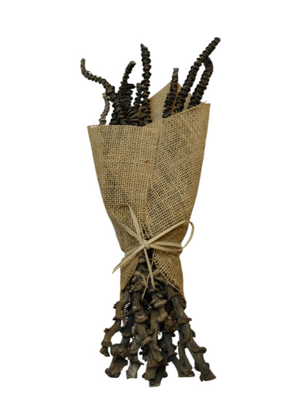 Banana Stem | Wholesale Everflorals | Natural NY1008