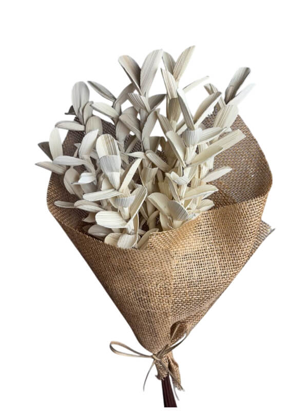 Betal Pine Gardenia | Wholesale Everflorals | Natural NY1022