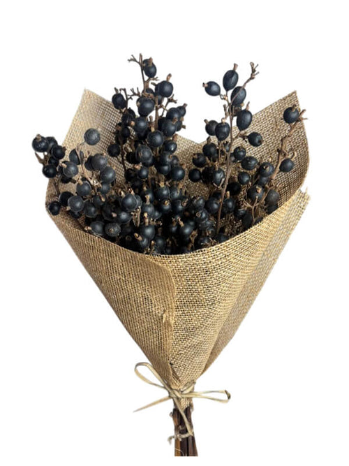 Blackberry | Wholesale Everflorals | Natural NY1024