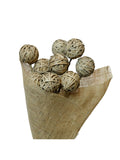 Cane Ball | Wholesale Everflorals | Natural NY1037