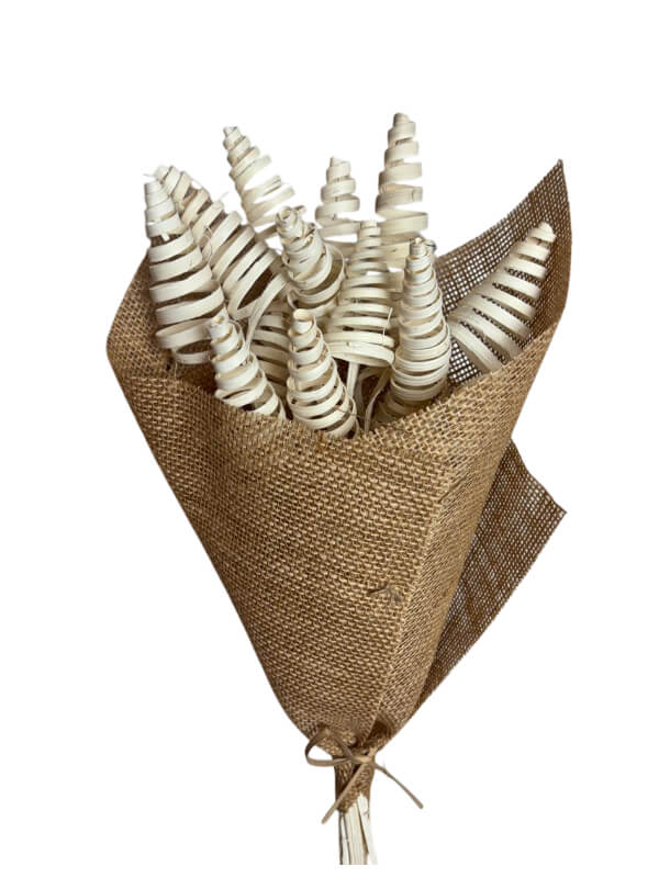 Cane Cone | Wholesale Everflorals | Natural NY1039