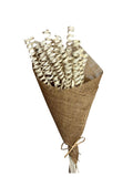 Cane Spring | Wholesale Everflorals | Natural NY1040