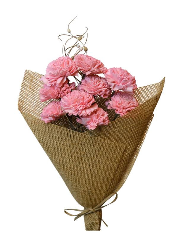 Carnation | Wholesale Everflorals | Natural NY1041