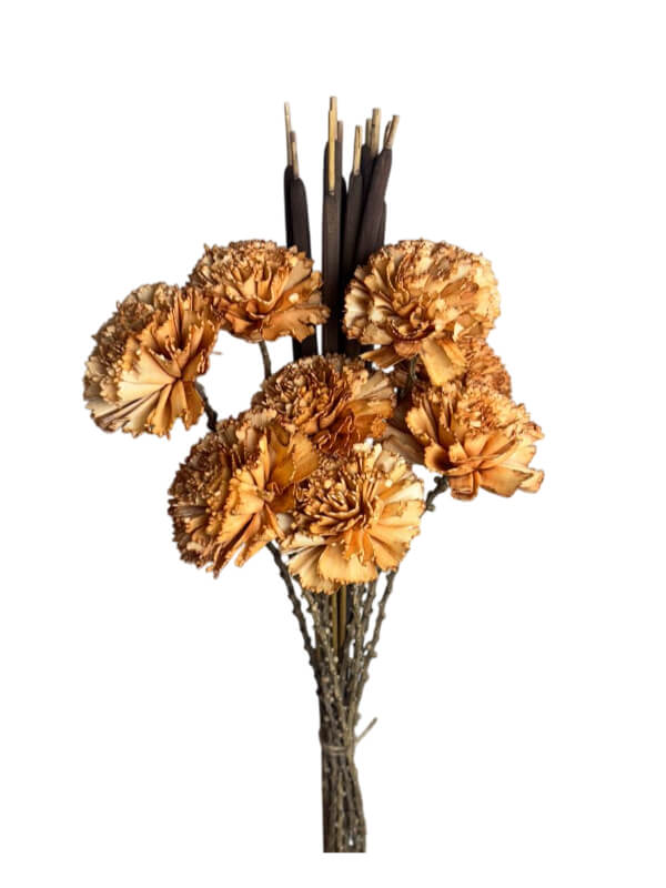 Carnation | Wholesale Everflorals | Rust NY1042