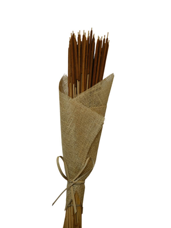 Cattails | Wholesale Everflorals | Rust NY1048