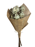 Date Artichoke | Wholesale Everflorals | Natural NY1069