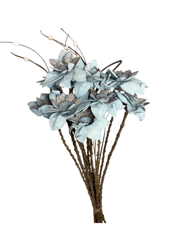 Flannel Flower | Wholesale Everflorals | Grey NY1075