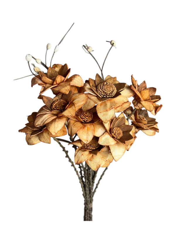 Flannel Flower | Wholesale Everflorals | Rust NY1075