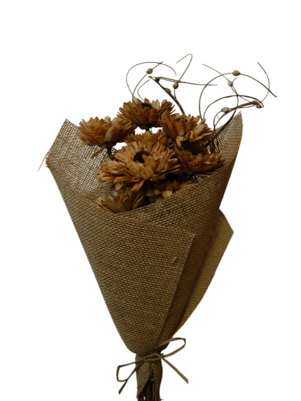 Germini Flower | Wholesale Everflorals | Rust NY1082