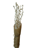 Kamboi Spiral | Wholesale Everflorals | Natural NY1091