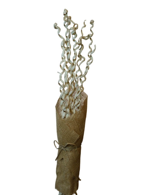 Kamboi Spiral | Wholesale Everflorals | Natural NY1091