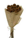 Kartoos Pod | Wholesale Everflorals | Natural NY1093
