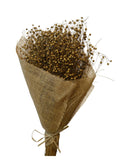 Lino Grass | Wholesale Everflorals | Natural NY1095
