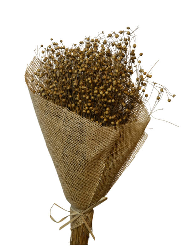 Lino Grass | Wholesale Everflorals | Natural NY1095