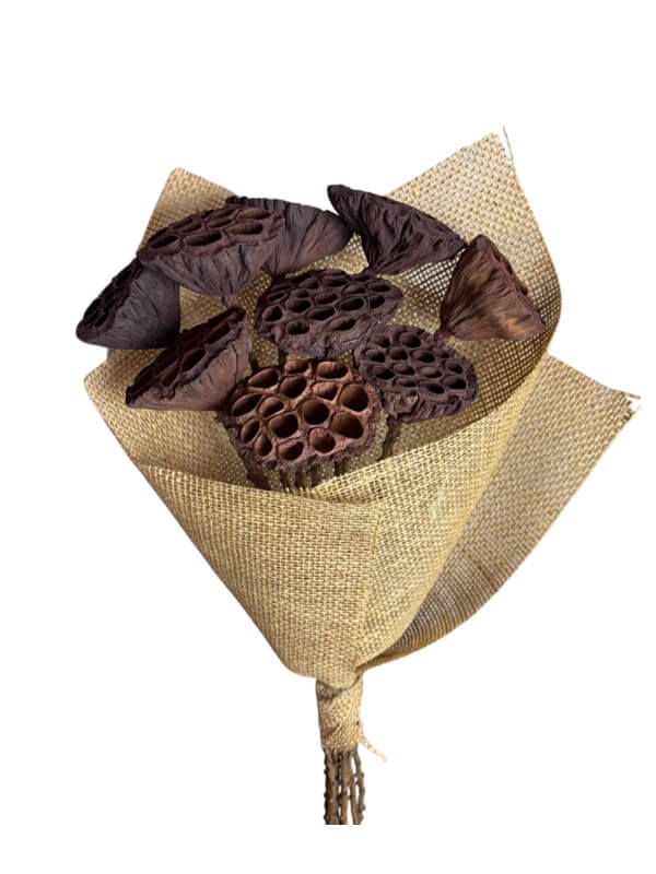 Lotus Pod | Wholesale Everflorals | Natural NY1101