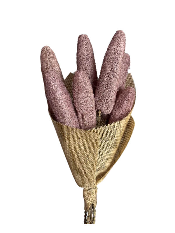 Luffa | Wholesale Everflorals | Old Pink NY1102