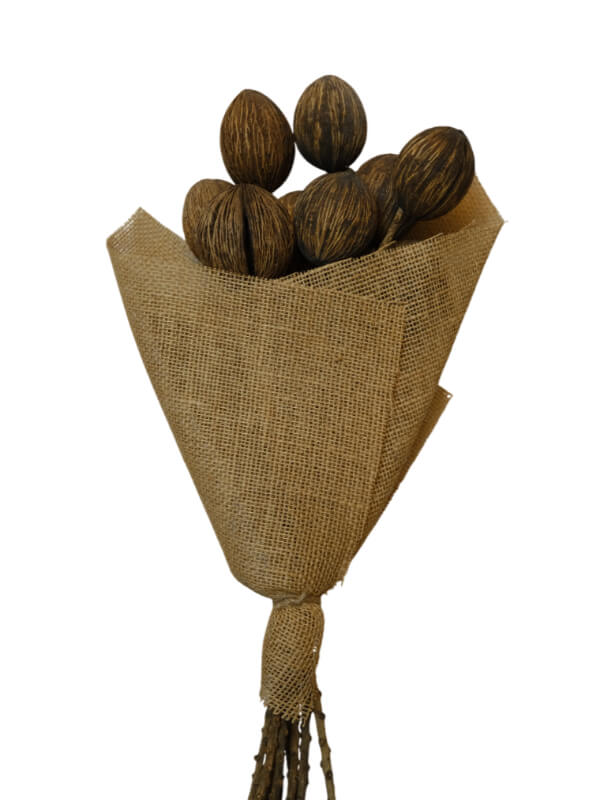 Mintola Ball | Wholesale Everflorals | Natural NY1104