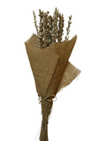 Moti Stick | Wholesale Everflorals | Natural NY1128