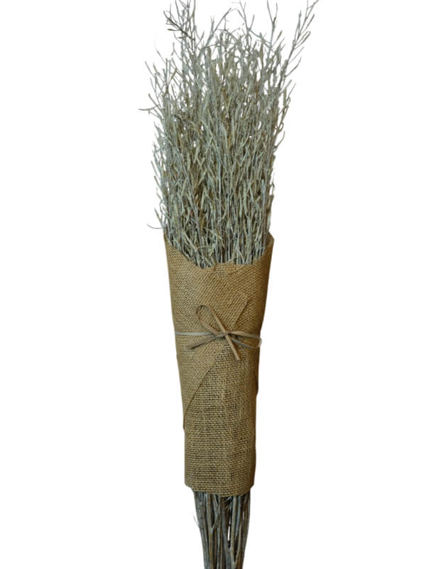 Mustard Grass | Wholesale Everflorals | Sage Green NY1131