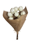 Palm Artichoke | Wholesale Everflorals | Natural NY1136