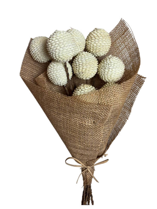 Palm Cord Ball | Wholesale Everflorals | Natural NY1141
