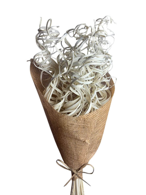 Palm Curly Ting Ting | Wholesale Everflorals | Natural NY1142
