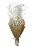 Palm Magdelena | Wholesale Everflorals | Natural NY1149