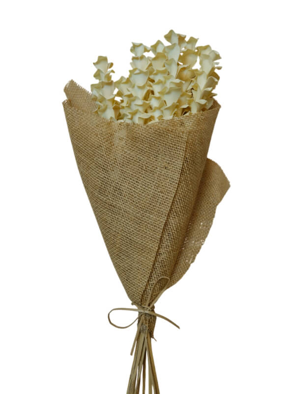Palm Pine | Wholesale Everflorals | Natural NY1155