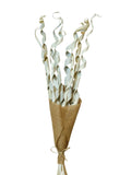 Palm Roll | Wholesale Everflorals | Natural NY1156