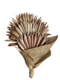 Palm Sun Spear | Wholesale Everflorals | Old Pink NY1159