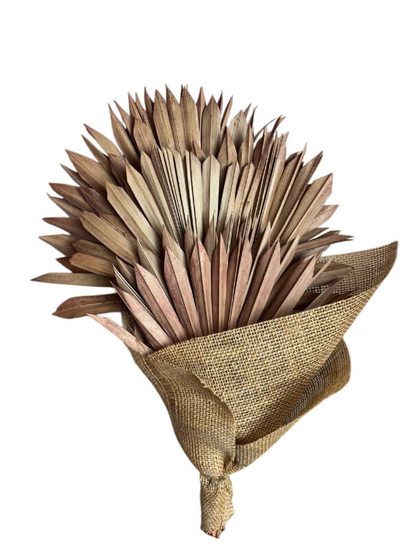 Palm Sun Spear | Wholesale Everflorals | Old Pink NY1159
