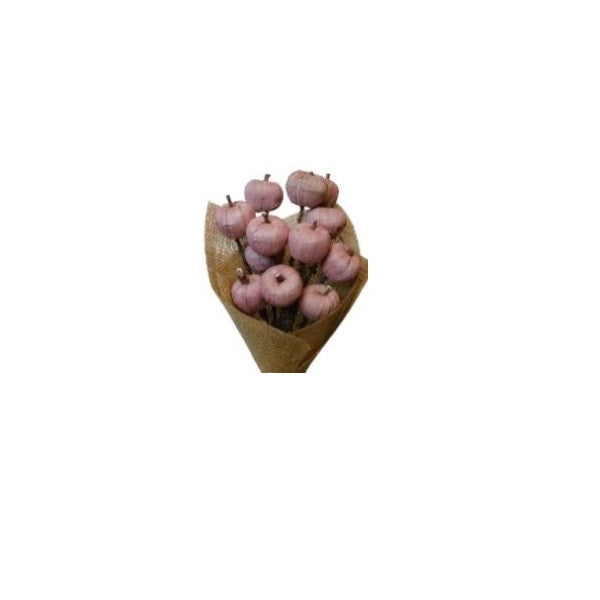 Pink Apple | Wholesale Everflorals | Coral Pink NY1002 image 2