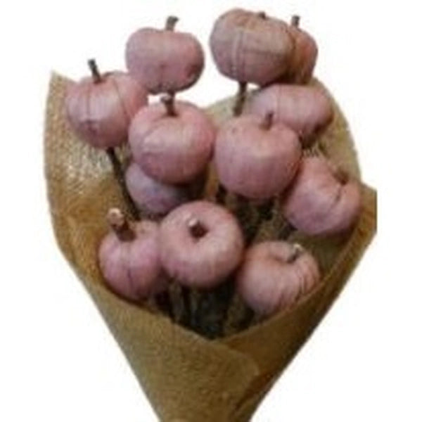 Pink Apple | Wholesale Everflorals | Coral Pink NY1002 image 3