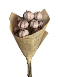 Pumpkin | Wholesale Everflorals | Old Pink NY1177