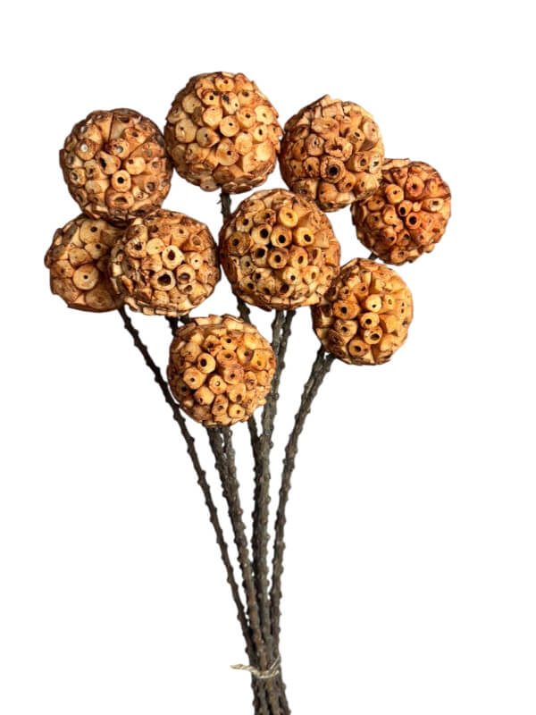 Shola Ata Ball | Wholesale Everflorals | Rust NY1185
