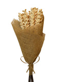 Shola Corn | Wholesale Everflorals | Corn Yellow NY1188