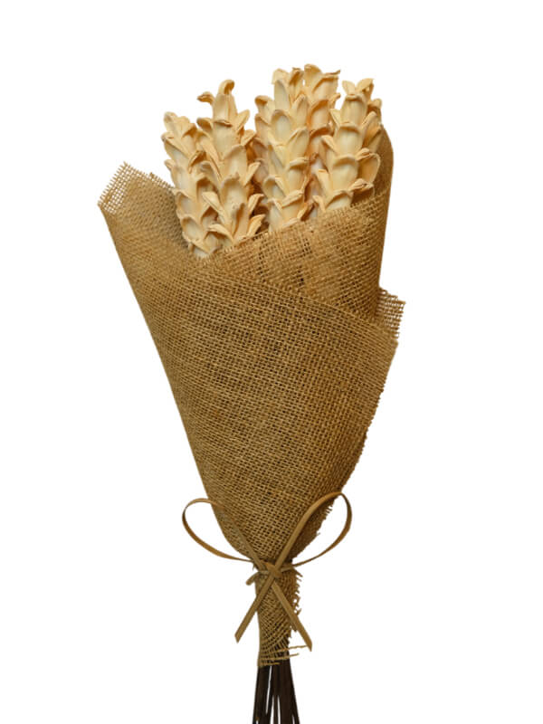 Shola Corn | Wholesale Everflorals | Corn Yellow NY1188