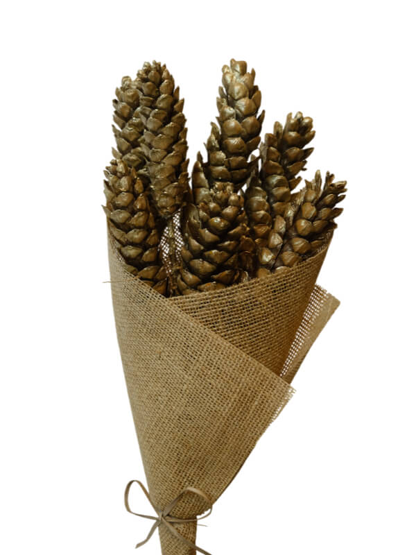 Strobus Pine | Wholesale Everflorals | Gold NY1209