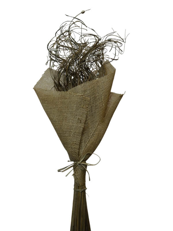 Ting Curly | Wholesale Everflorals | Natural NY1215