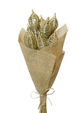 Vine Lantern | Wholesale Everflorals | Gold NY1224